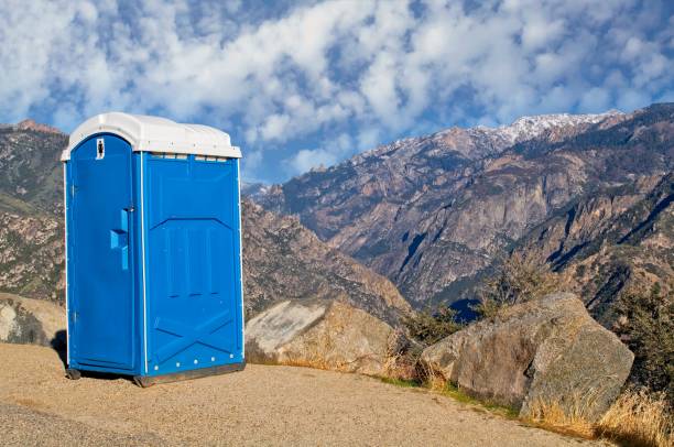 Best Portable Toilets with Baby Changing Stations  in Sandusky, MI